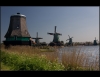 2801-skazen-Zaanse-Schans.jpg